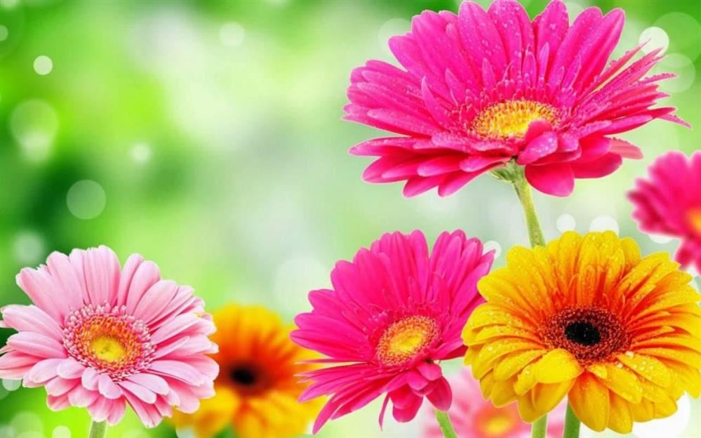 Make someone smile today! Make someone smile today!