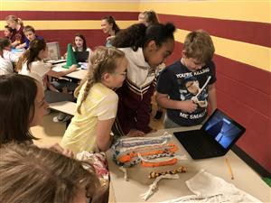 Gallery Walk 